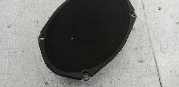 Chrysler 300 - 300C Rear door speaker P05059063AC
