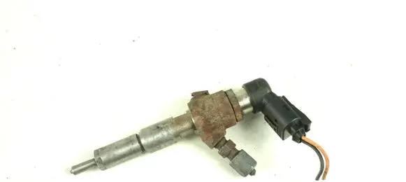 Ford Fiesta Fuel injector 9663429280 5WS40149Z