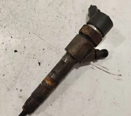 Renault Scenic II - Grand scenic II Fuel injector 0445110110B