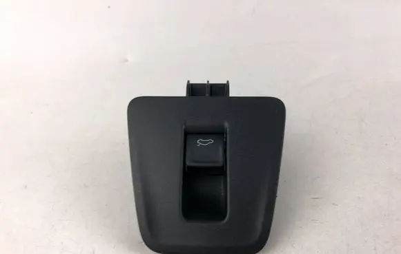 Volkswagen Tiguan Tailgate opening switch 3G0959831 5NA868247