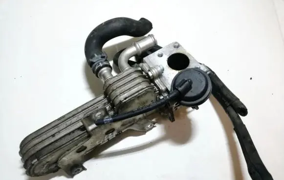 Volkswagen Golf IV EGR valve 038131063c 039311070