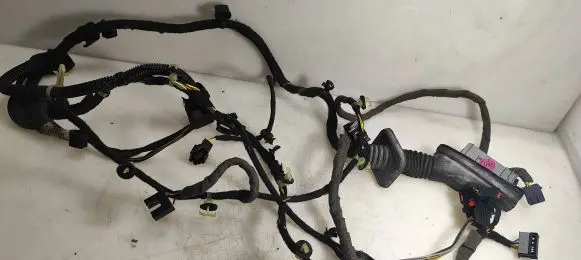 Opel Insignia A Front door wiring loom 22895889 5889U
