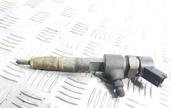 Fiat Punto (176) Fuel injector 0445110019 B445111141