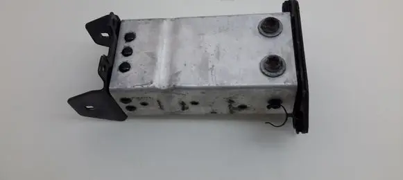 Mercedes-Benz S W220 Front bumper shock/impact absorber 