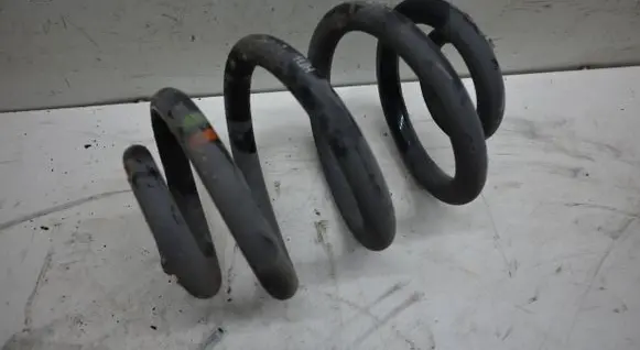 Rear coil spring