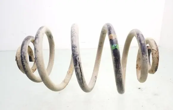 Volkswagen PASSAT B5 Rear coil spring