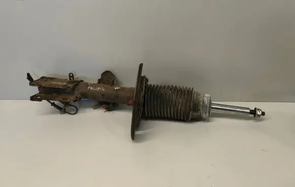 Chrysler Pacifica Front shock absorber/damper