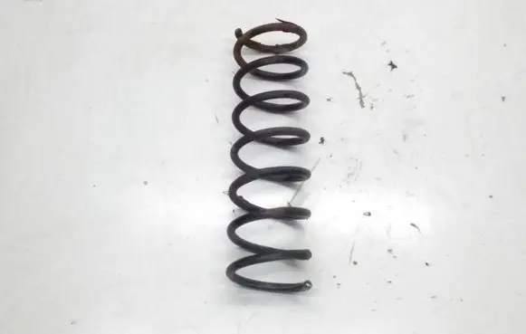 Ford Focus Rear coil spring