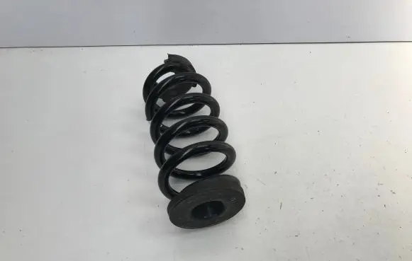Cupra Born Rear coil spring 1EA511103R