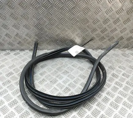 Nissan Leaf II (ZE1) Rubber seal front coupe door 808315SL0A