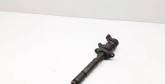 Citroen C5 Fuel injector 0445110259