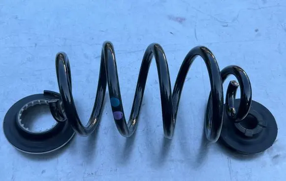 Rear coil spring
