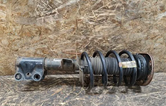 Ford Fusion II Front shock absorber with coil spring HG9C18045