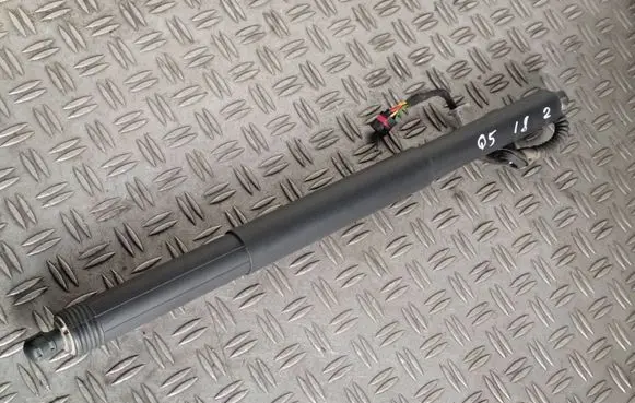 Tailgate/trunk strut/damper
