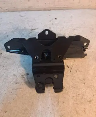 BMW X6 M Tailgate/trunk/boot lock/catch/latch 489050823