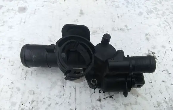 Thermostat/thermostat housing