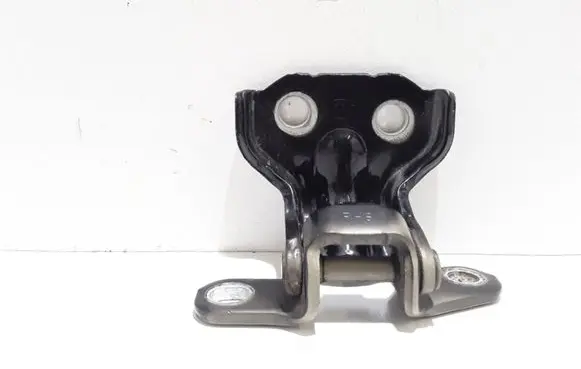 KIA Sorento Rear door lower hinge