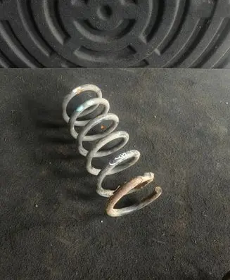 Rear coil spring