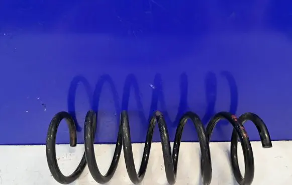 Volvo S60 Rear coil spring 31454437