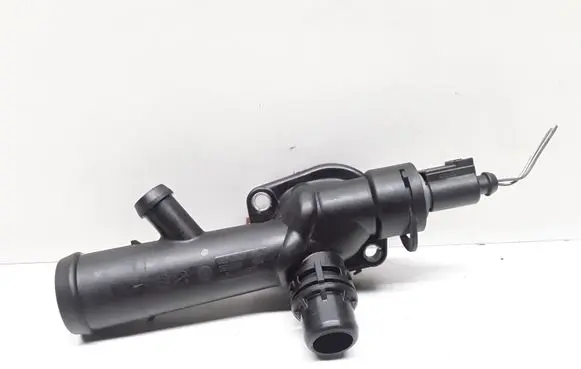 Thermostat/thermostat housing