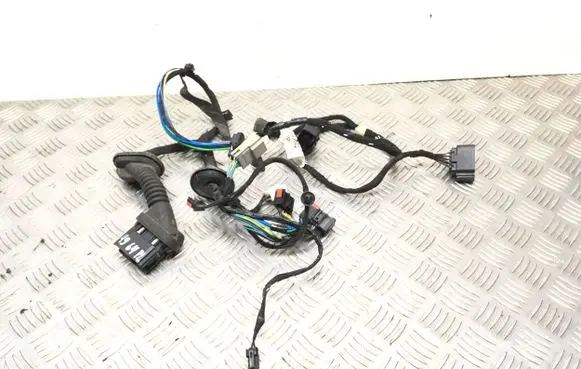 Ford Mondeo MK IV Front door wiring loom/harness boot BG9T14A584 12470620000