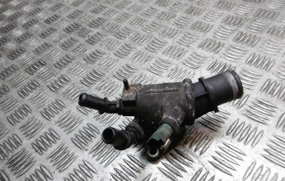 Thermostat/thermostat housing