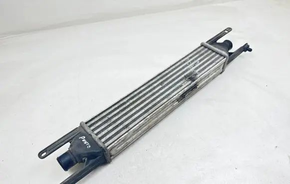 Fiat Punto (188) Intercooler radiator