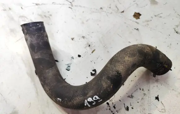 Honda Accord Engine coolant pipe/hose