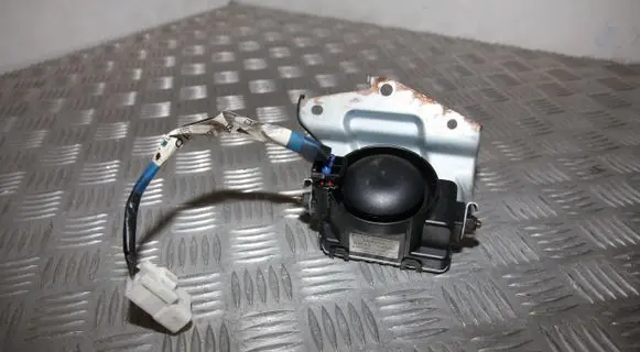 Alarm system siren