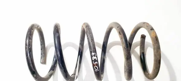 Rear coil spring