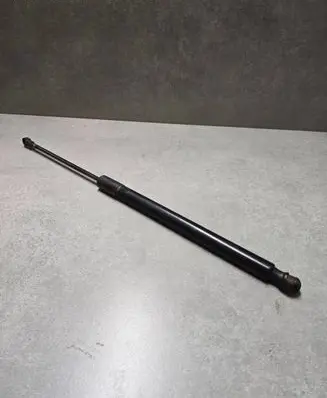 Tailgate/trunk strut/damper