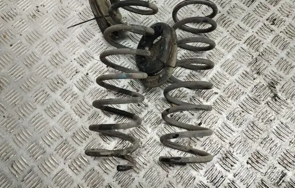 Ford Focus Rear coil spring