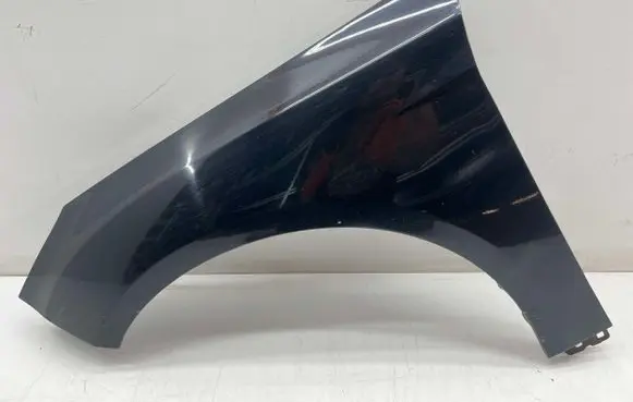 Ford Focus Fender