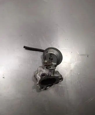 EGR valve