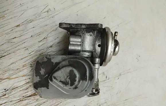 Volkswagen Touran I EGR valve 038131501AF 293410077