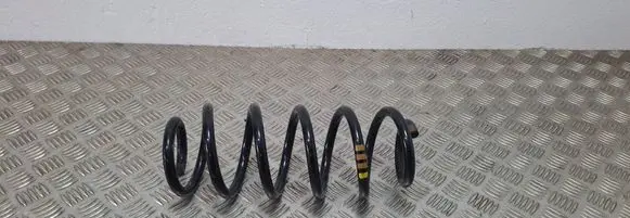 Front coil spring