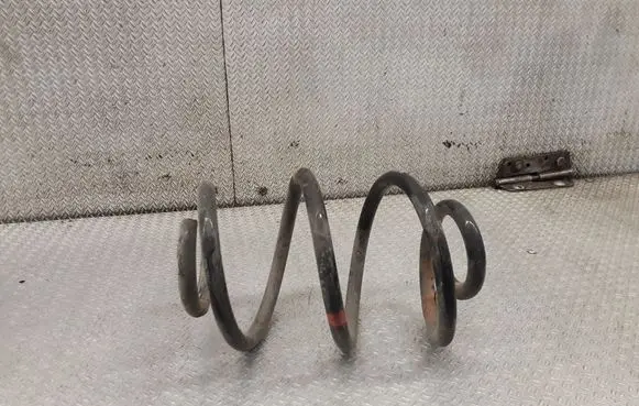 Rear coil spring