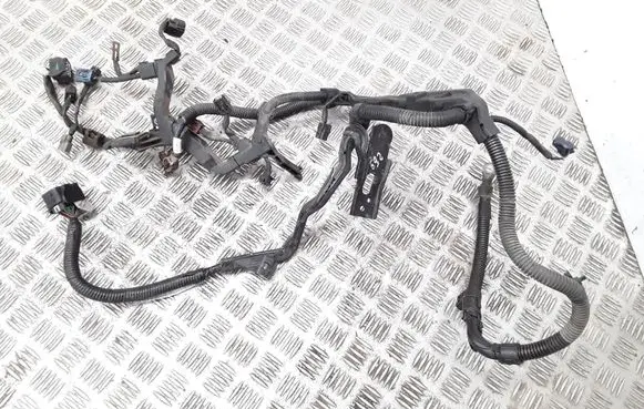 Engine installation wiring loom