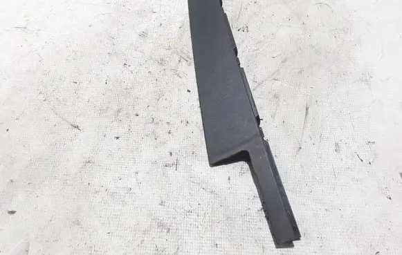 Seat Ibiza V (KJ) Rear door trim (molding) 6F0839901
