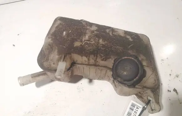 Renault Scenic II - Grand scenic II Coolant expansion tank/reservoir 