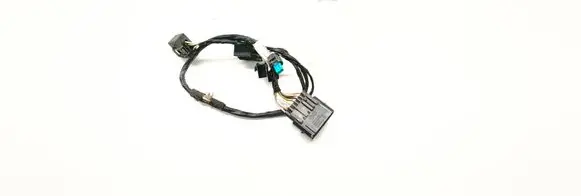 BMW X5 F15 Other wiring loom 9300859