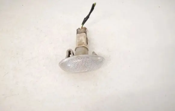 Front fender indicator light