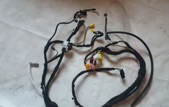 Front door wiring loom
