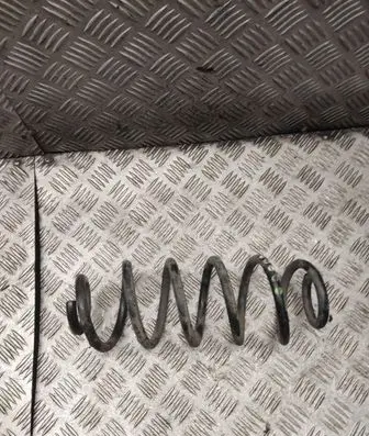 Rear coil spring