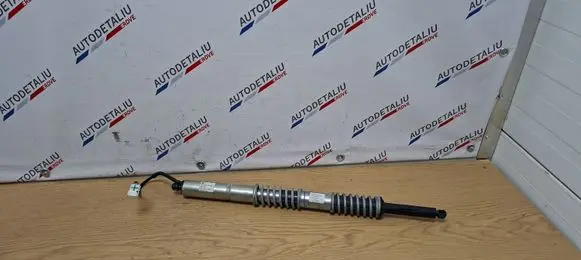 BMW 5 F10 F11 Tailgate/trunk strut/damper 51244875383