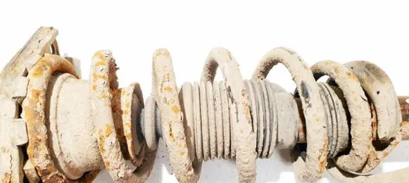 Nissan Primera Rear coil spring