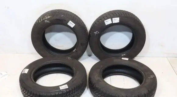 Renault Clio II R15 winter tire 5452000593818