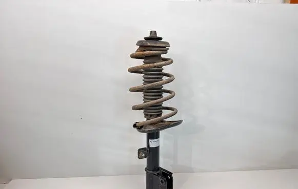 Citroen Berlingo Front shock absorber with coil spring 314888 824902005708