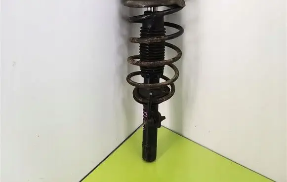 Peugeot 406 Front shock absorber with coil spring 