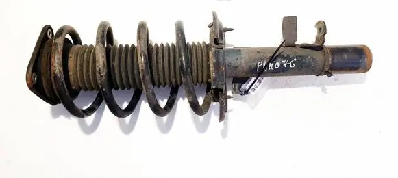 Ford C-MAX II Front shock absorber/damper BV6118045LBB